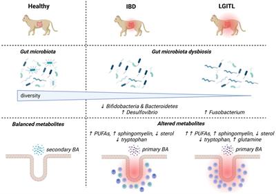 Gut microbiota in cats with inflammatory bowel disease and low-grade intestinal T-cell lymphoma